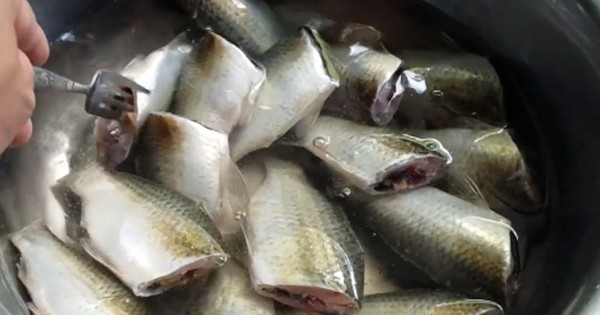 Ăn cá theo cách này, nhiều người bị tổn thương gan: Bác sĩ cảnh báo