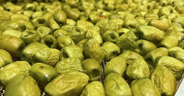 Quả dại "lột xác" thành mặt hàng hút khách, giúp nông dân thu lãi hơn 1 tỷ đồng/năm