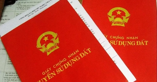 Xuất hiện nhóm người mạo danh làm sổ đỏ, thu cọc 30-50 triệu đồng ở Gia Lai