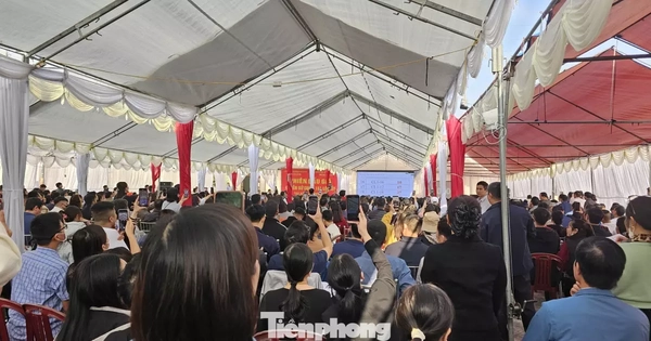 Đấu giá đất vùng quê: Giá "bị đẩy" lên cao gấp 3 lần giá khởi điểm