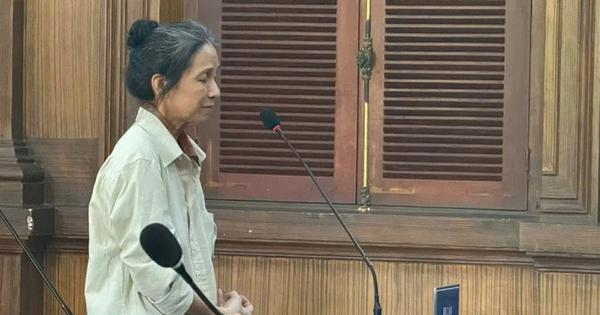 TP.HCM: Nữ kế toán trường THPT "rút ruột" gần 19 tỷ đồng