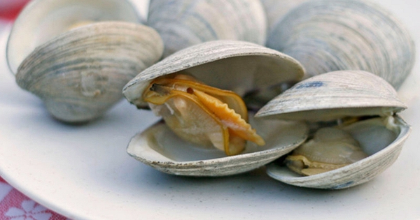 4 thực phẩm dễ tích tụ cả "mỏ kim loại nặng", độc tính mạnh gấp nhiều lần thủy ngân