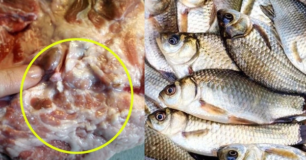 Vì sao có câu nói "thịt lợn không mua thịt cổ, mua cá không mua cá diếc"?