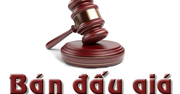 Tỉnh có diện tích nhỏ nhất cả nước được các "đại gia" Vingroup, Sungroup, T&T... nhắm đến sắp đấu giá hàng chục lô đất, khởi điểm 9 triệu/m2