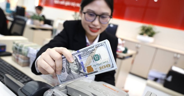 Giá USD lao dốc, dự báo mới nhất về tỉ giá tại Việt Nam