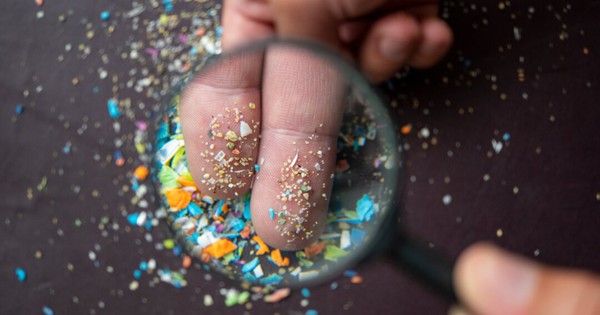 1 vật dụng có thể giải phóng hơn 9.000 hạt vi nhựa: Chuyên gia nói gì?