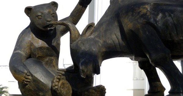 Khi sự nghi ngờ lấn át lòng tin: Nhà đầu tư ngại chia sẻ vì sợ gắn mác "chim lợn" trên thị trường chứng khoán