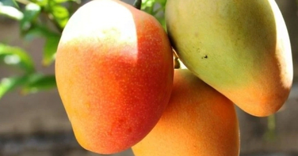 “Siêu trái cây” cực nhiều ở chợ Việt, ăn vào bổ đủ đường không phải ai cũng biết