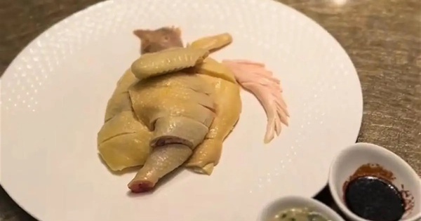 Chi gần 2 triệu đồng để ăn nửa con gà, vị khách “bất ngờ ngã ngửa” khi được nghe giải thích: Gà này không phải gà thường!