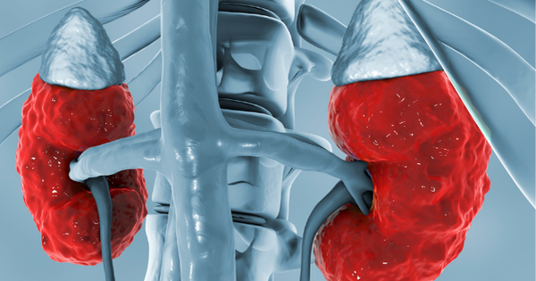 Mỗi phút thận lọc nửa cốc máu, ăn quá nhiều 5 món này chẳng khác gì ‘bóc lột, chèn ép’ thận