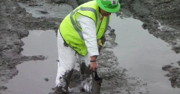 Bất ngờ thấy kho báu quý gấp bội vàng trị giá 214 nghìn tỷ đồng ở nơi không ai nghĩ tới