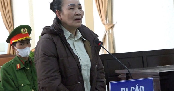 Làm giả sổ đỏ “qua mặt” nhân viên ngân hàng, Lê Thị Hoan lĩnh án 17 năm tù