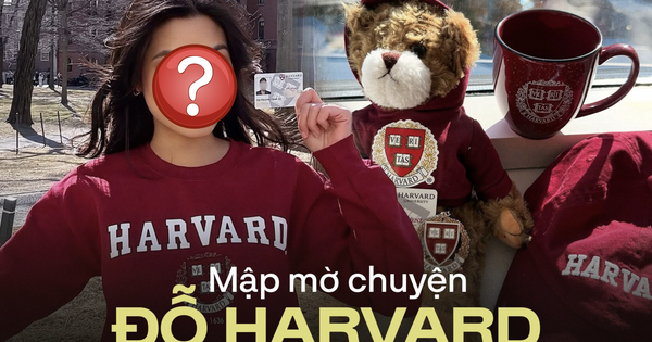 Từ chuyện 1 Á hậu khoe vào Harvard: Sự phóng đại như khoản vay ngắn hạn, được chú ý ngay lập tức rồi trả giá đắt