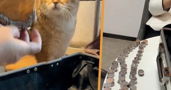 Phẫn nộ vì dịch vụ chung cư kém, cư dân trả phí quản lý bằng 6.000 đồng xu