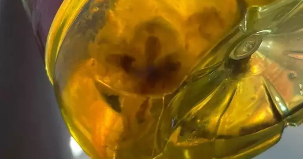 4 thứ này có thể bị hỏng ngay cả trước ngày hết hạn, nhà nào cũng dùng mà không hay biết