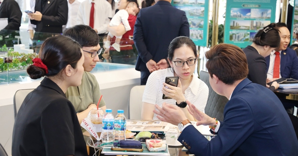 Nhu cầu tìm kiếm bất động sản lân cận Tp.HCM tăng vọt sau thông tin sáp nhập tỉnh, thành