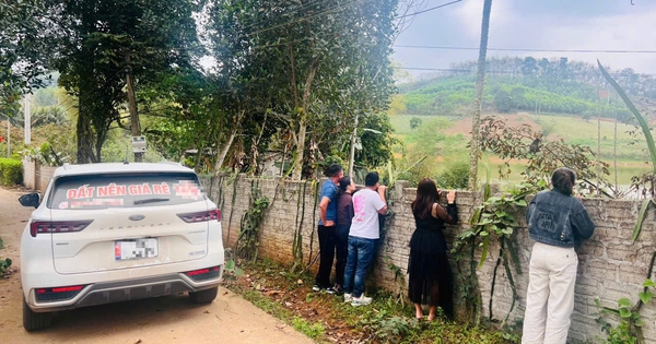 Mua mảnh đất quê 200-300m2, nhà đầu tư tách lô nhỏ, rao bán với cam kết ra sổ đỏ, lời ngay 300-500 triệu đồng/lô