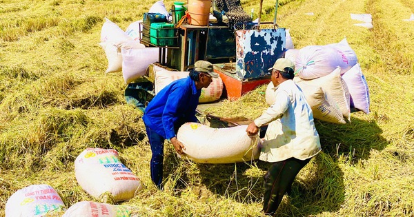 Bộ Công Thương lập đoàn kiểm tra liên ngành về xuất khẩu gạo tại ĐBSCL