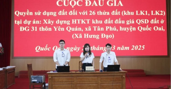 Huyện Quốc Oai (Hà Nội), giá trúng đấu giá đất "lại nóng", cao nhất lên đến 104 triệu đồng/m2