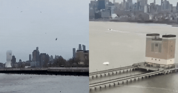 Kinh hoàng khoảnh khắc trực thăng rơi thẳng xuống sông tại Mỹ: Nhân chứng ám ảnh trước cảnh tượng "chưa từng thấy"