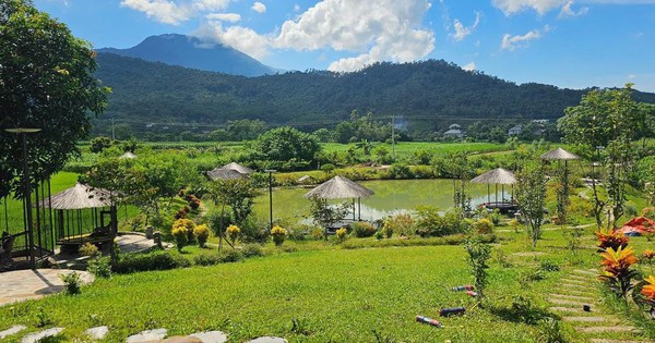 Rủ nhau đi xem đất thời 100.000 đồng/m2, nay giá tăng 200 lần: Người có chục mảnh vườn thả gà nuôi cá, người chê đắt vẫn "tay trắng"