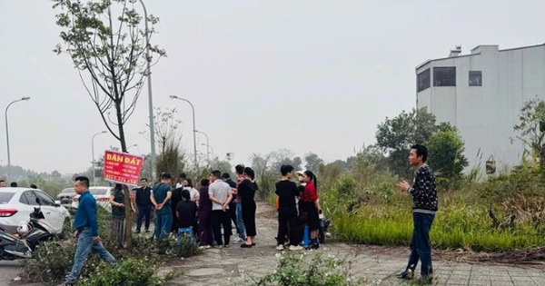 Sốt đất theo tin sáp nhập tỉnh: Nhìn lại giá nhà đất Hà Tây cũ tăng từ 2,6 đến 15 lần nhưng không phải bất cứ vị trí nào sau sáp nhập cũng tăng