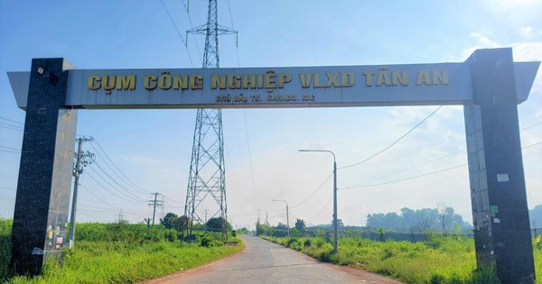 Chủ đầu tư Cụm công nghiệp ở Đồng Nai bị phạt gần 1 tỉ đồng