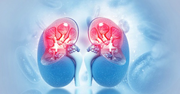 Bác sĩ Bệnh viện Bạch Mai cảnh báo 1 sai lầm gặp ở nhiều người Việt khiến thận tổn thương nặng nề