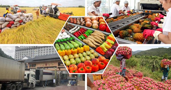 Ngân hàng Nhà nước "bơm" gói tín dụng 100.000 tỷ đồng ưu đãi cho nông nghiệp