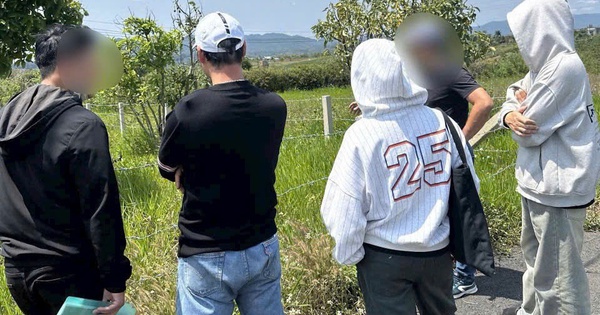 Chưa kịp “lướt sóng bất động sản” sáp nhập tỉnh, một nhà đầu tư đành ngậm ngùi giữ 3 lô đất chờ cơ hội thoát hàng