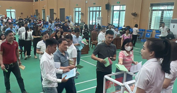 Đấu giá thành công 100 lô đất tại Bắc Giang, tổng thu về gần 340 tỷ đồng, gấp 2 lần giá khởi điểm