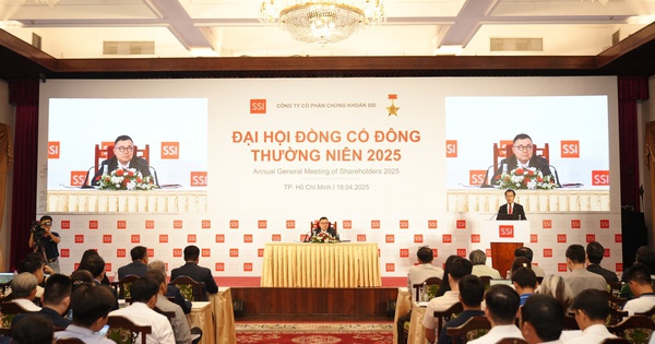 ĐHĐCĐ SSI: Kế hoạch doanh thu đạt 9.695 tỷ đồng, lợi nhuận trước thuế 4.252 tỷ đồng