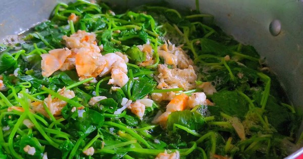 Việt Nam có loại lá tốt ngang "kem chống nắng tự nhiên", giúp tăng sinh collagen nhưng có 3 nhóm người tuyệt đối không nên dùng