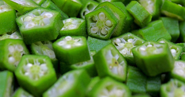 Người Việt có 1 loại quả nhơn nhớt giúp chống rụng tóc, kích thích mọc tóc con, sử dụng đúng còn phòng ngừa được nhiều bệnh