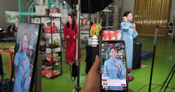 CEO Việt kiều livestream bán gạo tại nhà máy