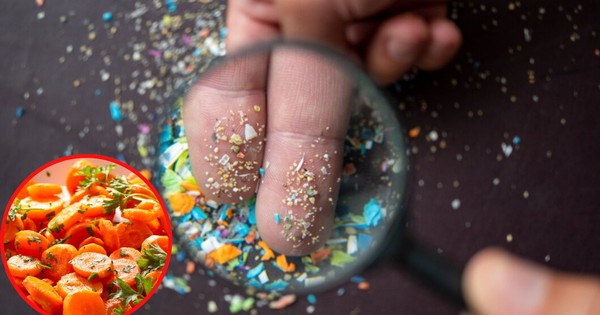 Loại củ chứa nhiều vi nhựa nhất, hơn 100.000 hạt/gram: Chuyên gia nói khi ăn cần lưu ý 3 điều