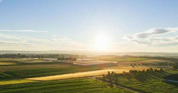 Cảnh báo 17% đất canh tác toàn cầu bị ô nhiễm kim loại nặng