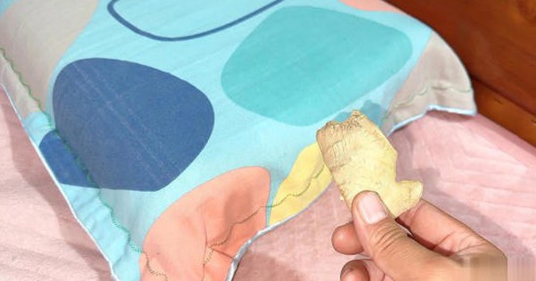 Đặt gừng cạnh gối tốt ngang "ăn nhân sâm bổ ngàn năm", hôm nay tôi mới biết thật lãng phí nửa đời người