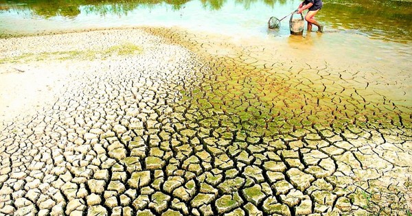 Xâm nhập mặn tiến sâu vào Đồng bằng sông Cửu Long: Các giải pháp ứng phó