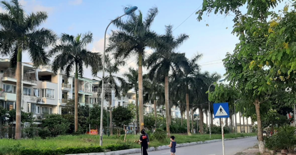 Nhà thấp tầng, đất thổ cư Hà Nội "đua" tăng giá