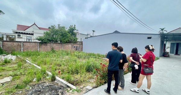 Bất động sản Phú Thọ, Vĩnh Phúc, Hòa Bình có diễn biến lạ sau thông tin sáp nhập