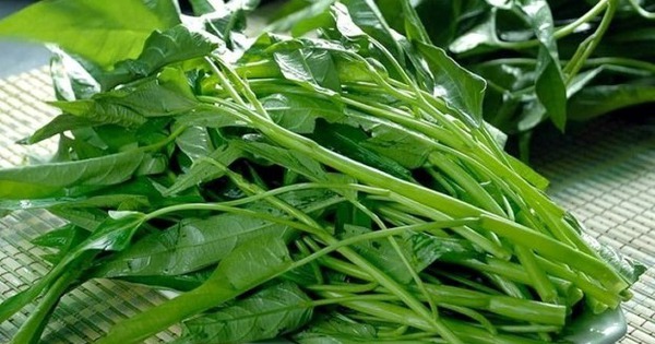 Loại rau bổ hơn thực phẩm chức năng, mát tựa thuốc giải nhiệt, đi chợ gặp phải mua liền!