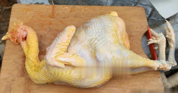 Phần thịt gà dinh dưỡng "đắt hơn giá vàng" nhưng lại hay bị người Việt vứt bỏ