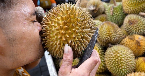 Sầu riêng Việt Nam hụt hơi trước Thái Lan tại thị trường Trung Quốc, một quốc gia ĐNÁ âm thầm tăng tốc