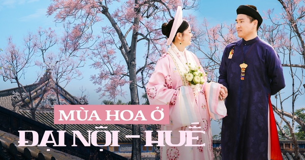 Huế lại khiến du khách "tuyệt đối ngẩn ngơ" với mùa hoa phủ hồng Đại Nội: Đi đi em, còn do dự là hết đó!