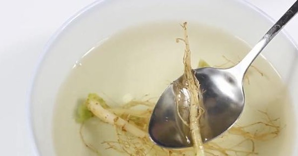 Ăn 4 loại rau này đừng bỏ rễ: Người không biết tưởng “rác” nhưng người biết dùng là “vàng mười”