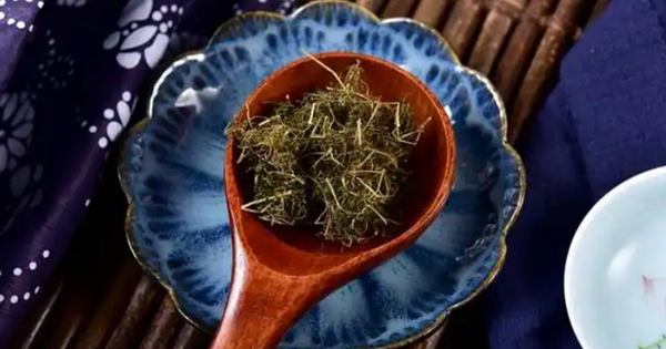 Loại cây mọc dại, đem phơi khô quý như "nhân sâm người nghèo", ít ai biết tới