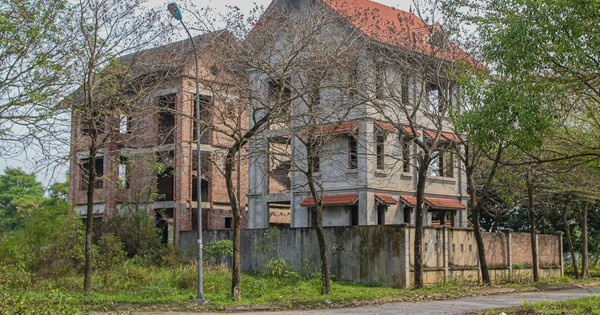 Mua lô đất bỏ hoang suốt 2 thập kỷ, bán gấp 10 lần tưởng đã lãi to, ai ngờ chỉ trong 3 tháng sau giá lại tăng thêm 8 lần nữa khiến người bán tiếc ngẩn ngơ