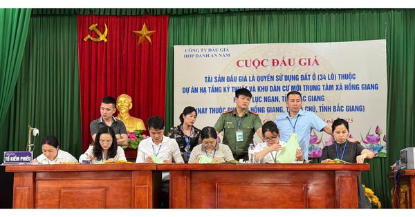 Đấu giá đất Bắc Giang: Lô đất 160m2 có giá trúng cao nhất hơn 5,3 tỷ đồng, gấp đôi giá khởi điểm