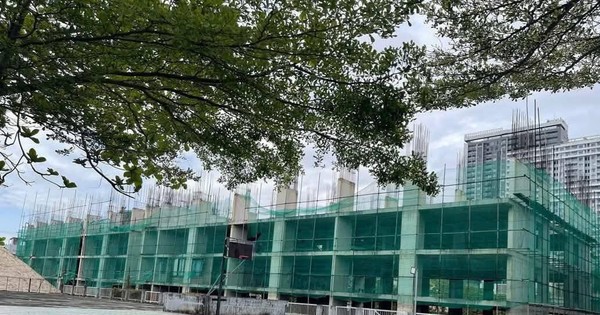 Chưa mở bán, "cò" đã ra giá, nhận làm hồ sơ mua chung cư thu nhập